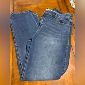 Lane Bryant Women's Straight Jeans in Blue